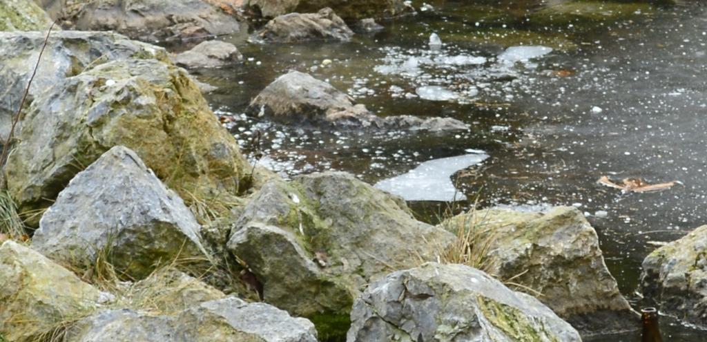 Lake_detail