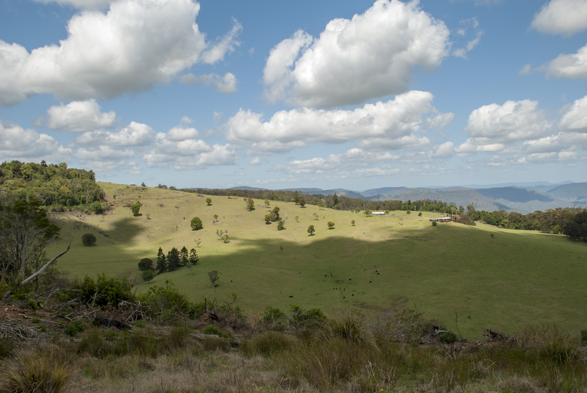 Lamington NP