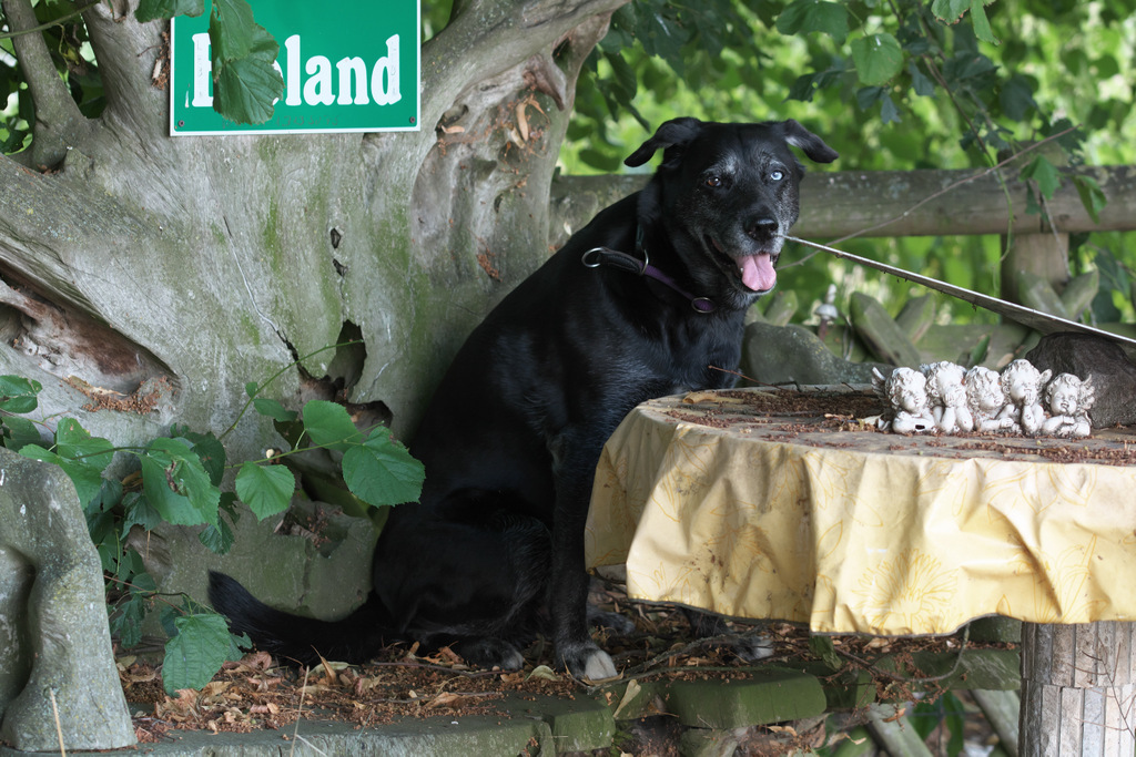 Landbank