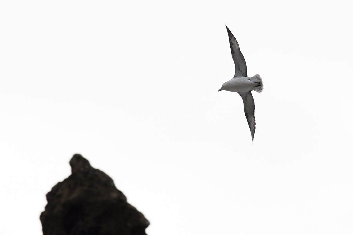 Landeanflug 20160227 111031 island 2016 2