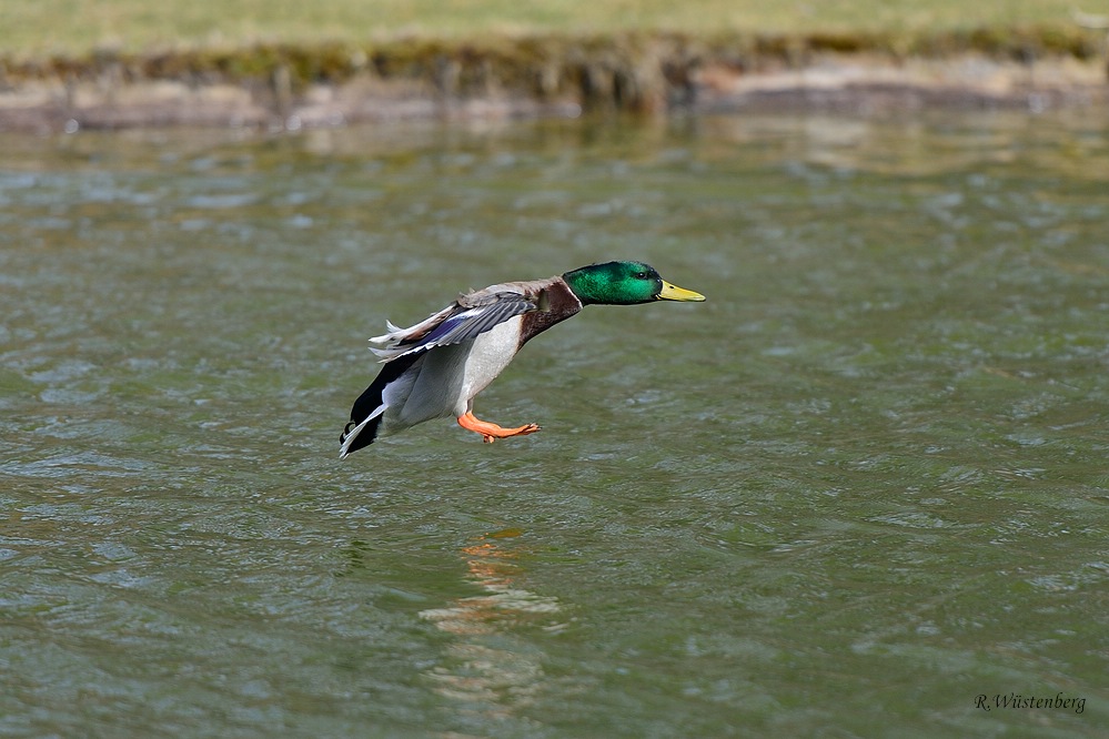 Landeanflug Bild 2