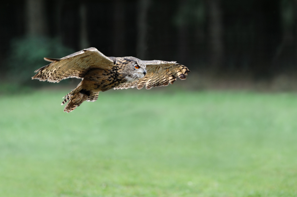 Landeanflug II