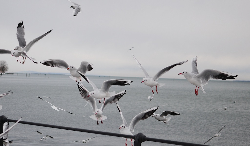 Landeanflug