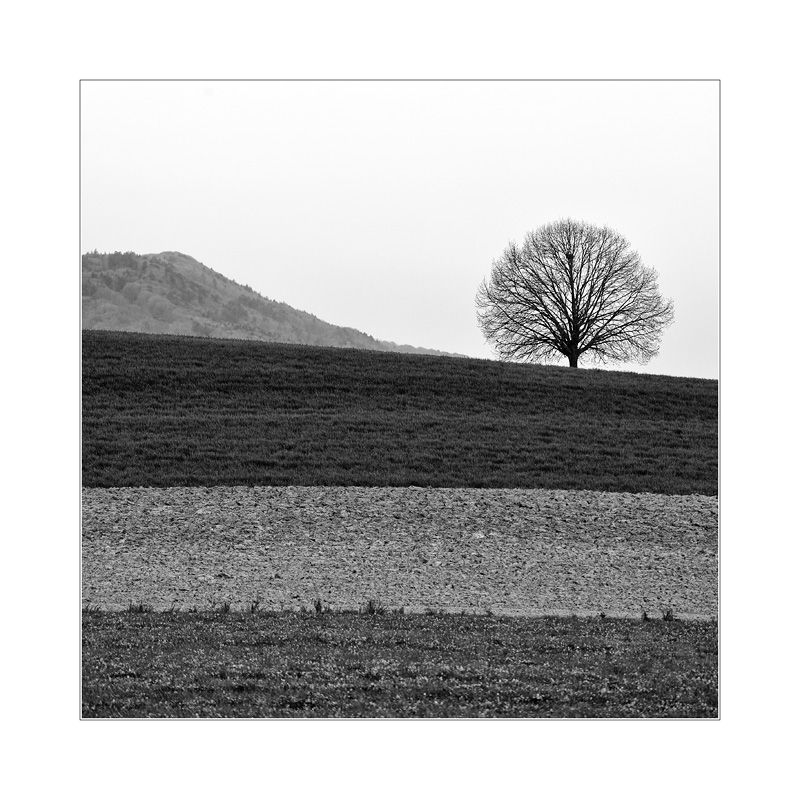 Landidylle