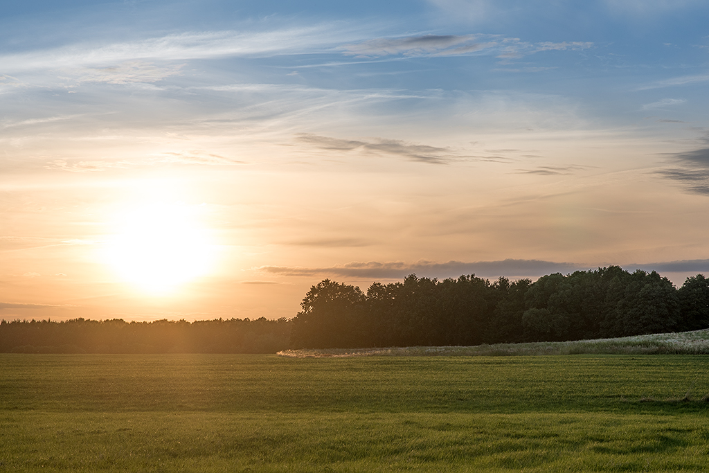 landscape raw acr