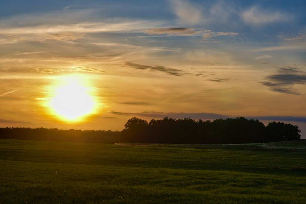 landscape raw