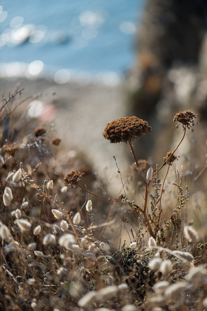 Landschaft 001