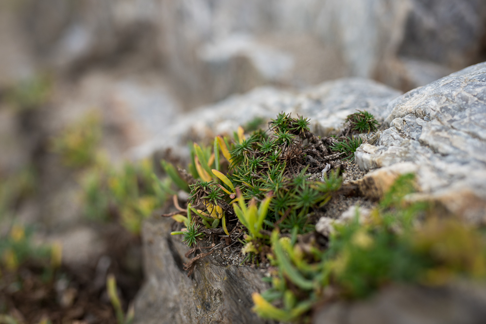 Landschaft 010