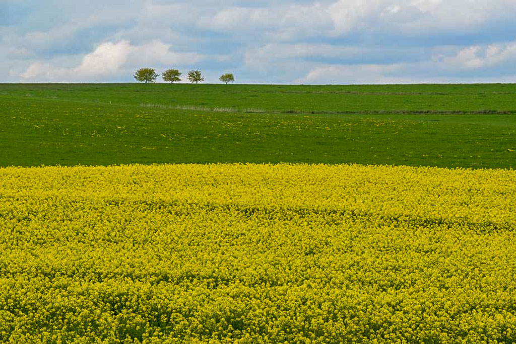 Landschaft bearbeitet