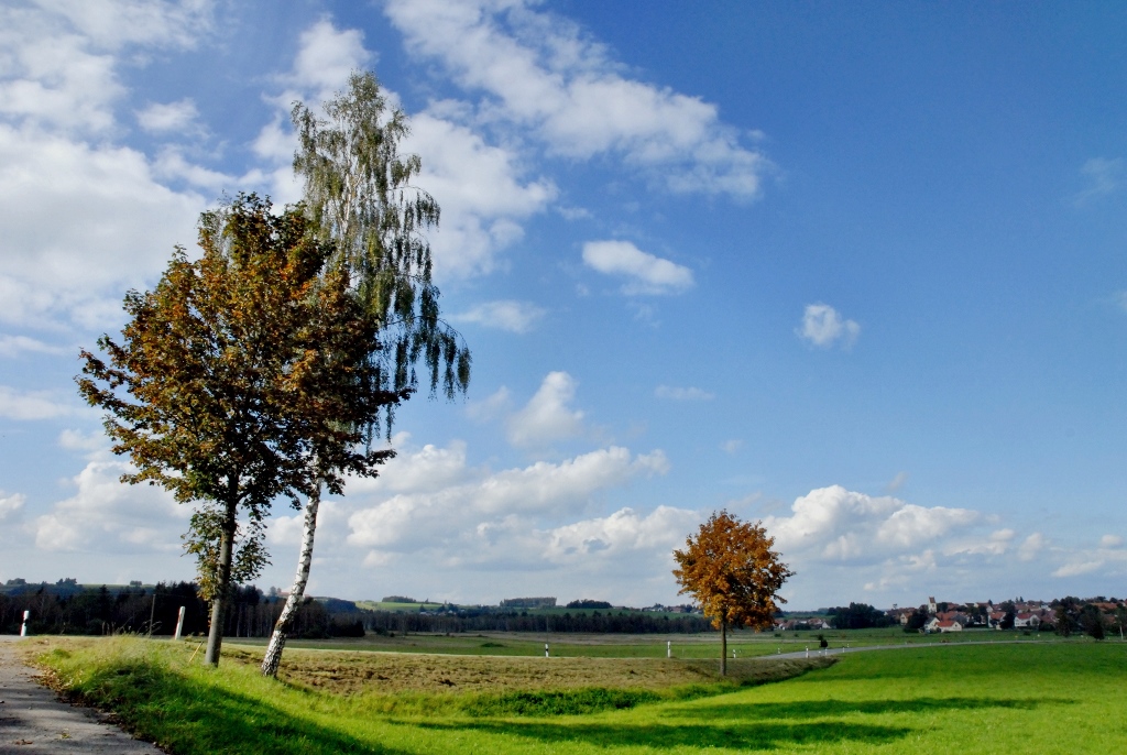 Landschaft bei Ochsenhausen Allgäu