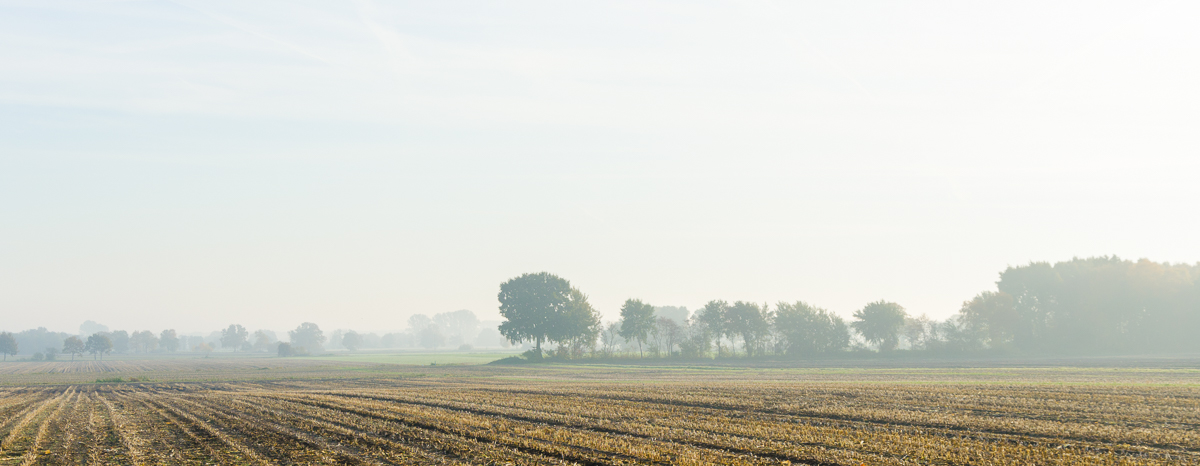 Landschaft im Nebel 2