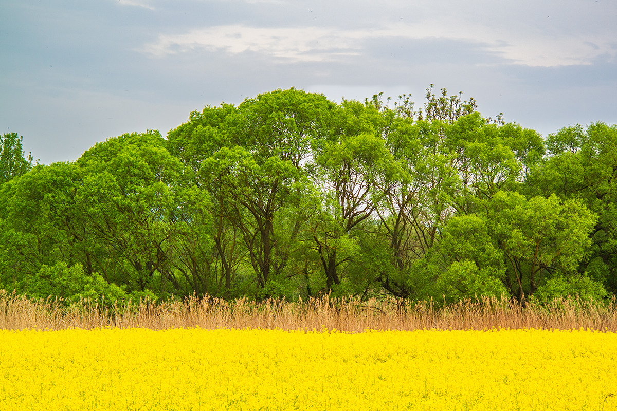 Landschaft.jpg