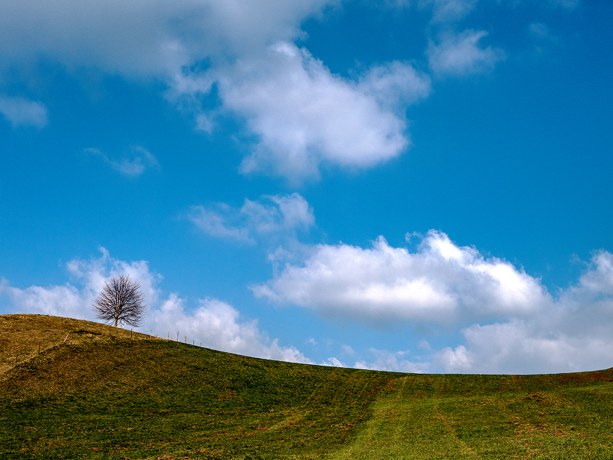 Landschaft.jpg