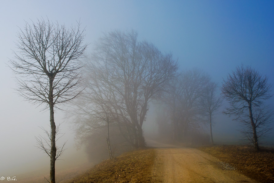 Landschaft Nebel (2 von 1)