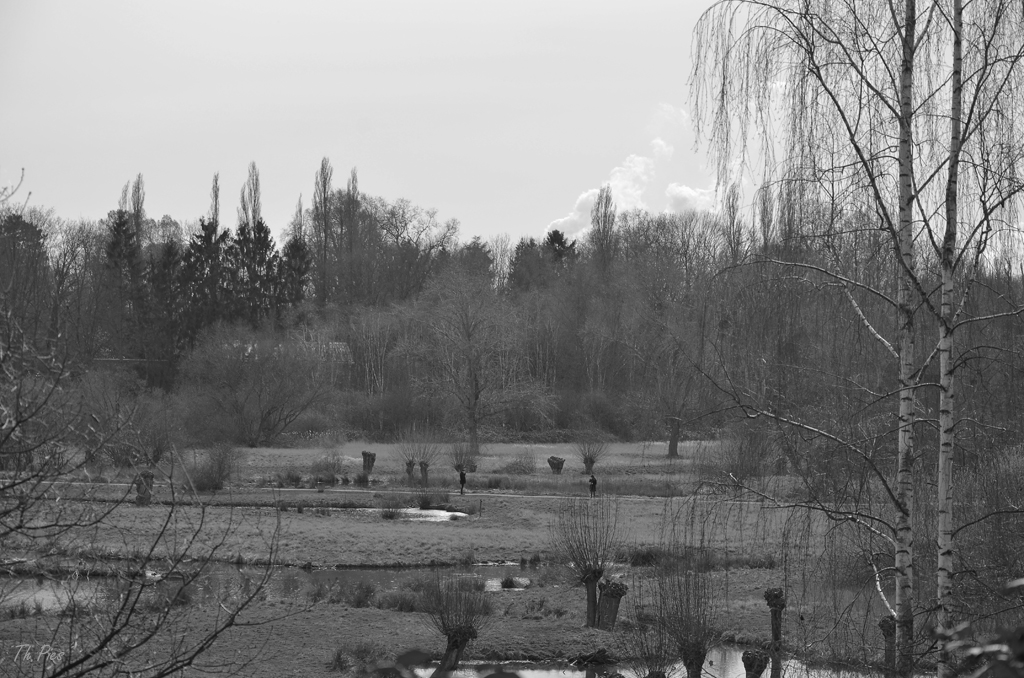 Landschaft sw