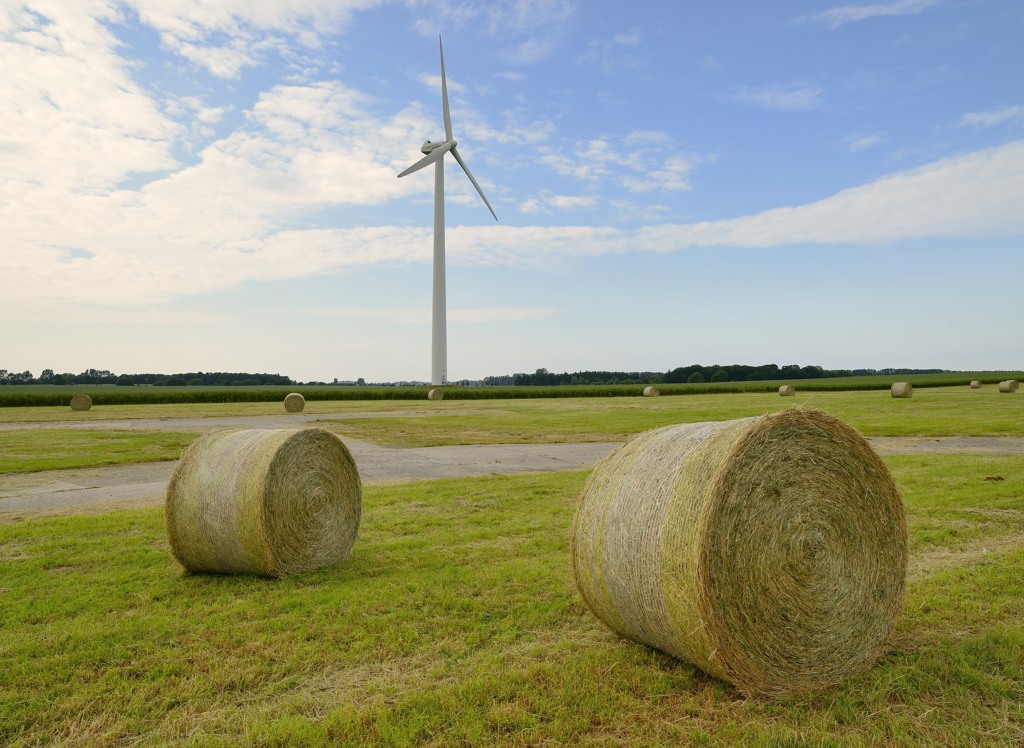 Landschaft zwischen Greifswald und Wolgast