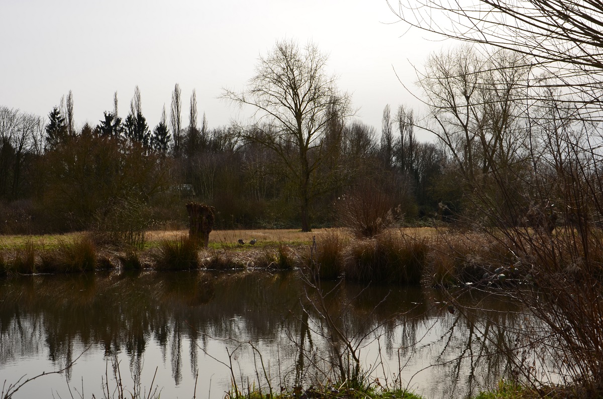 Landschaft
