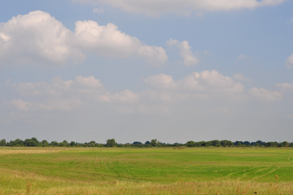 Landschaft