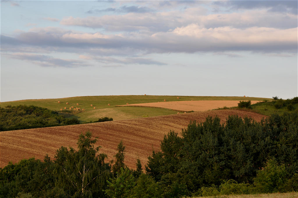 Landschaft