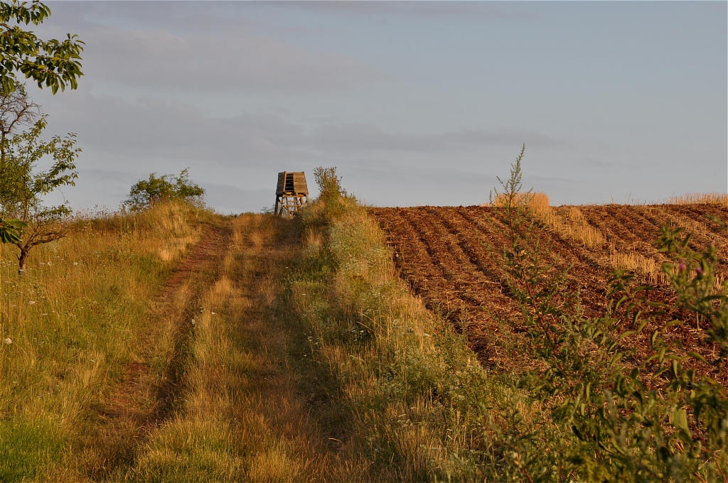 Landschaft