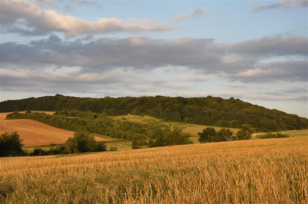 Landschaft