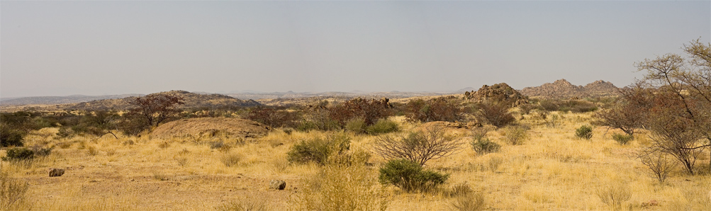 Landschaft