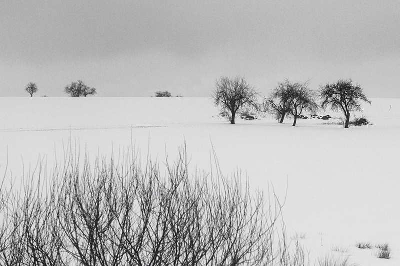 Landschaft01