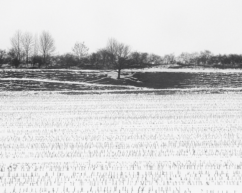 Landschaft02