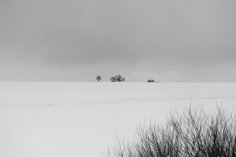 Landschaft06