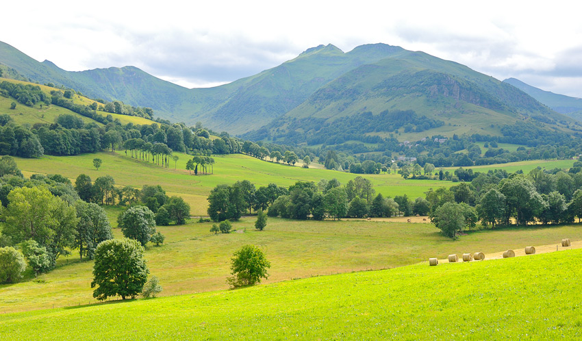 Landschaft1