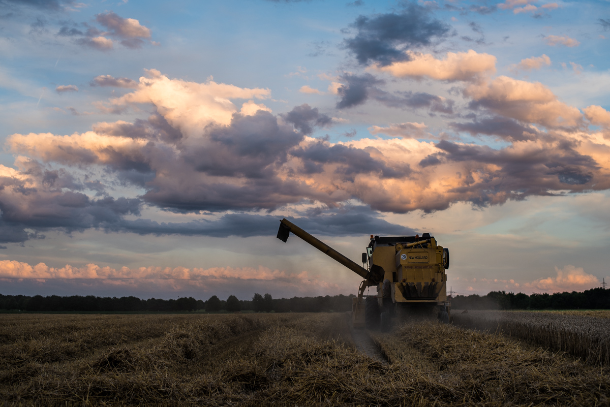 Landwirtschaft (1 von 11)