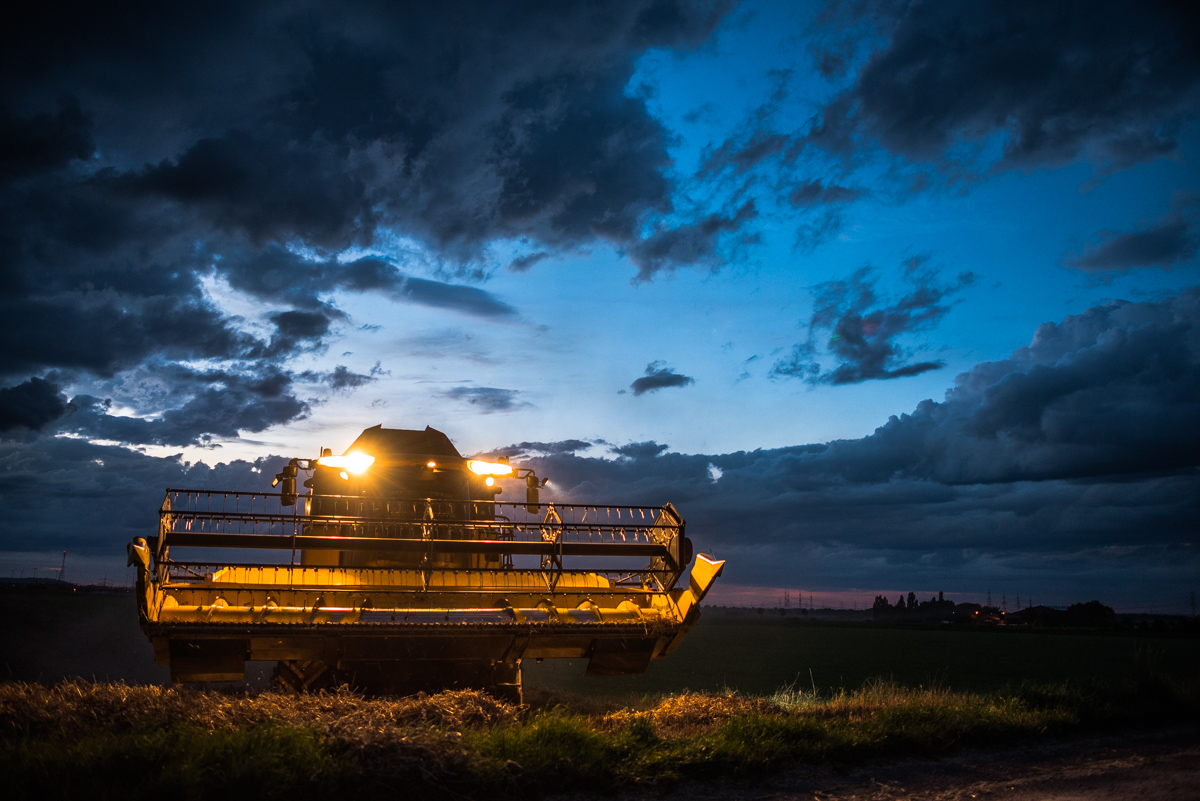 Landwirtschaft (10 von 11)