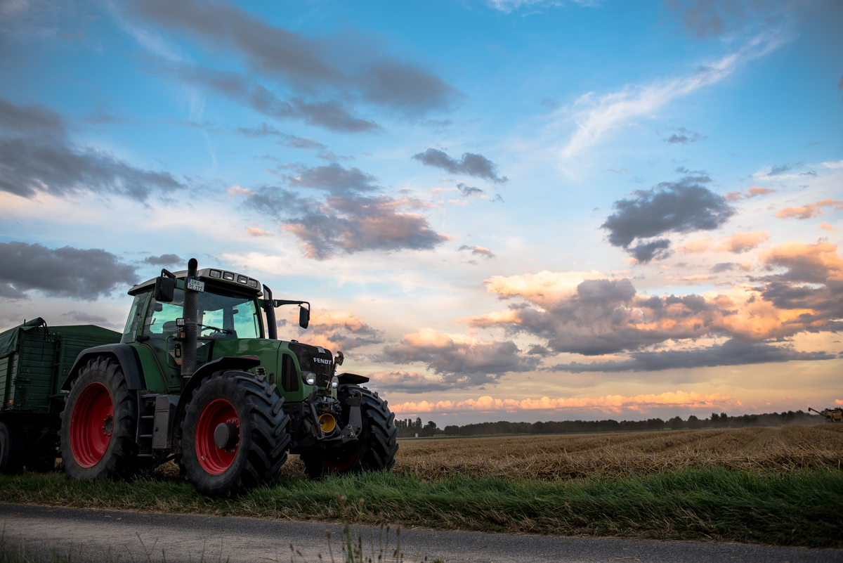 Landwirtschaft (2 von 11)
