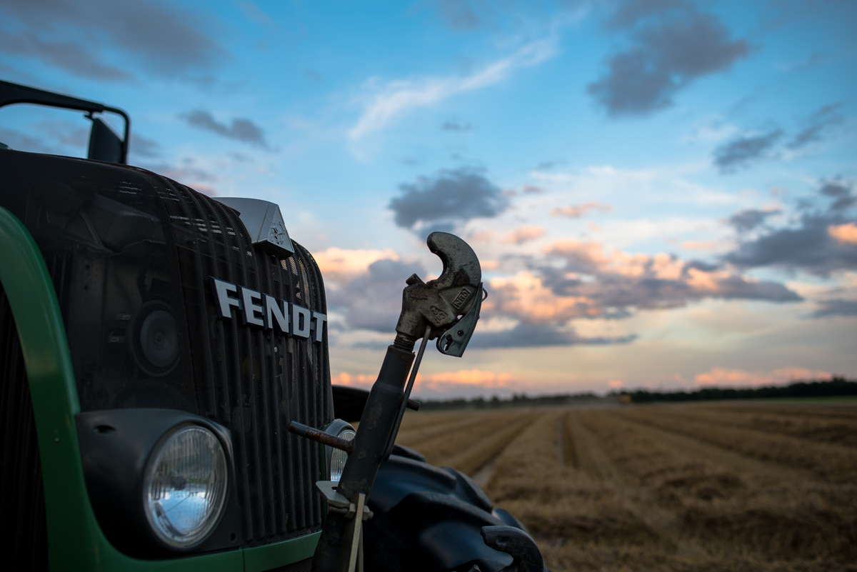 Landwirtschaft (3 von 11)