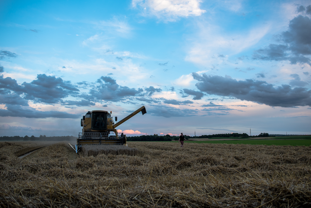 Landwirtschaft (4 von 11)