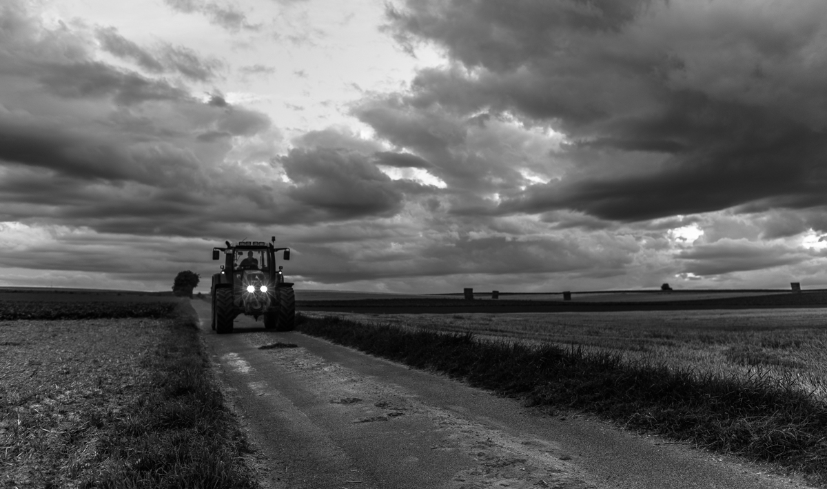 Landwirtschaft (5 von 11)