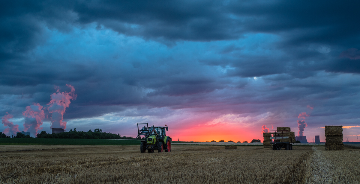 Landwirtschaft (6 von 11)
