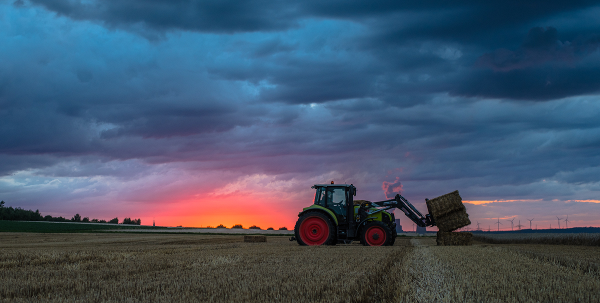 Landwirtschaft (7 von 11)