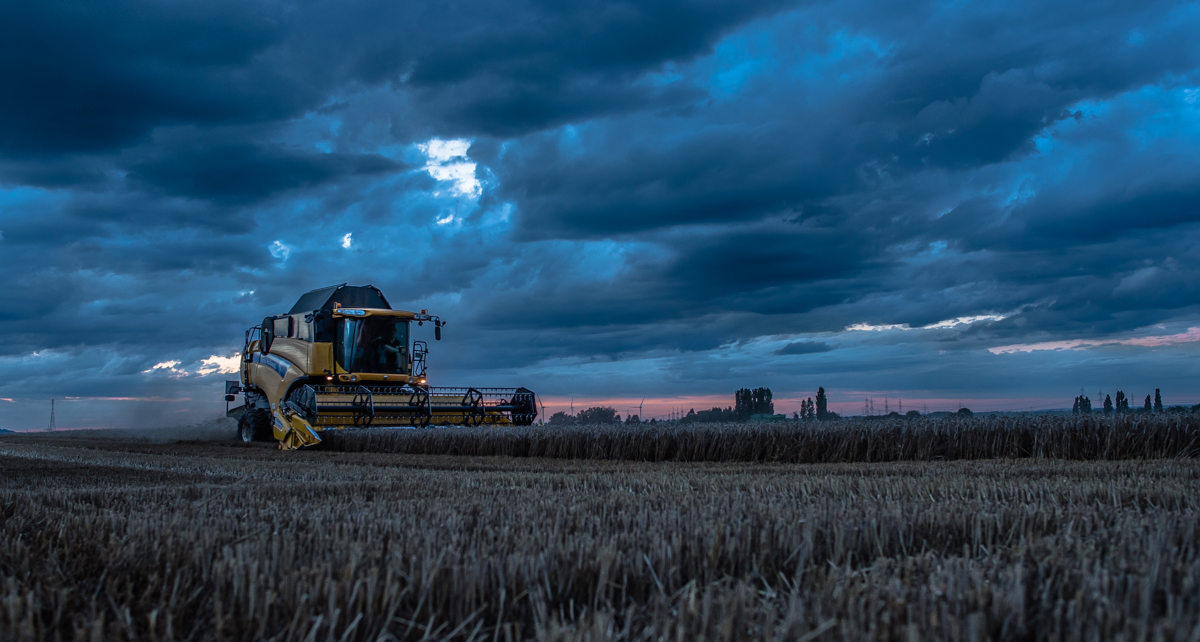Landwirtschaft (8 von 11)