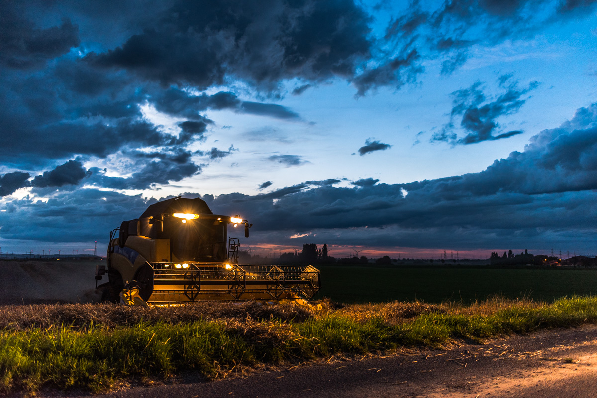 Landwirtschaft (9 von 11)