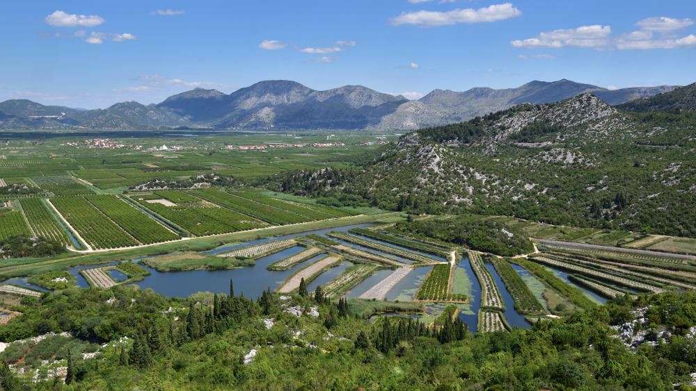 Landwirtschaft an der Neretva, CRO