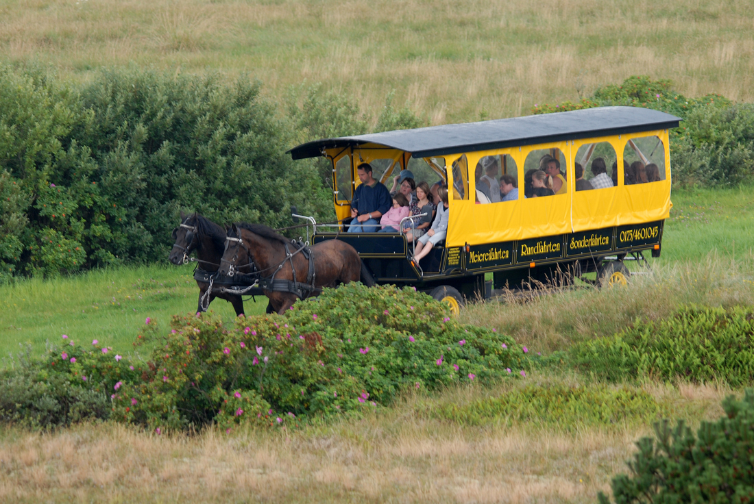 Langeoog Meiereifahrten.jpg