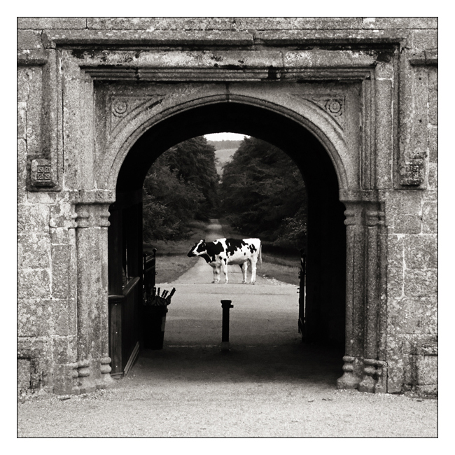 LanhydrockSC1q