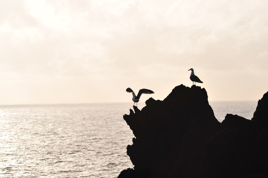 Lanzarote I