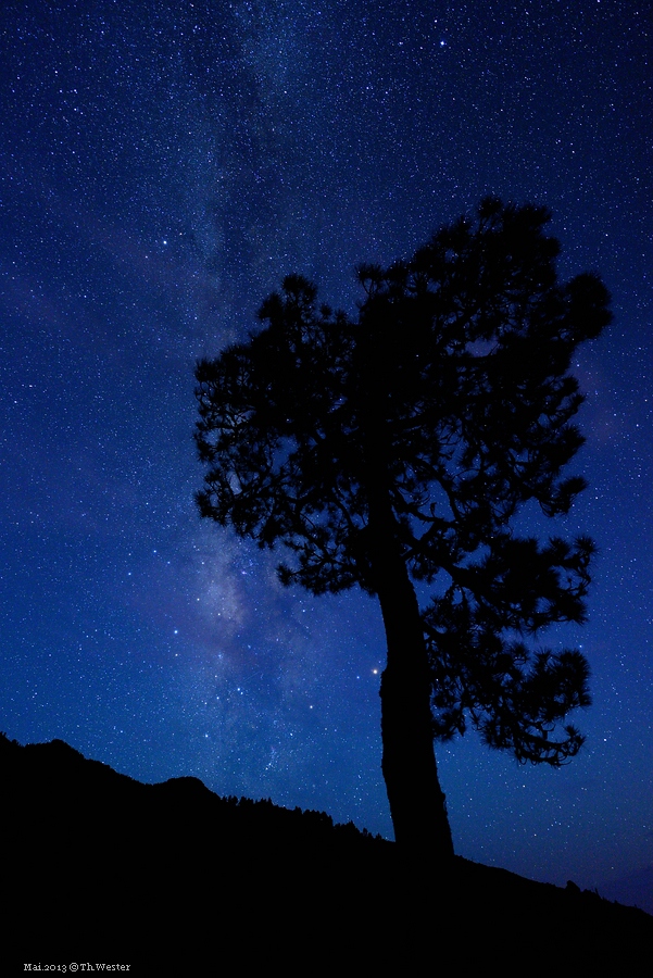 Lapalma (10)