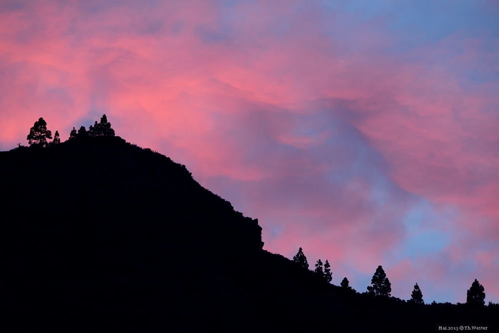 Lapalma (16)