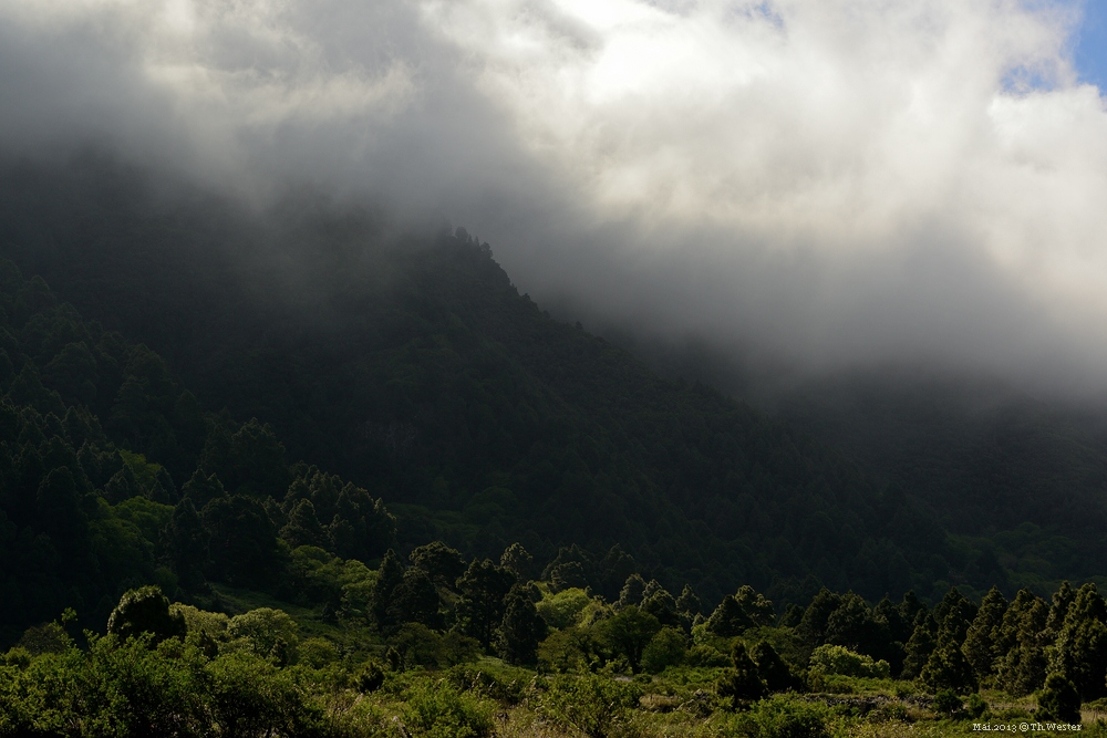 Lapalma (2)