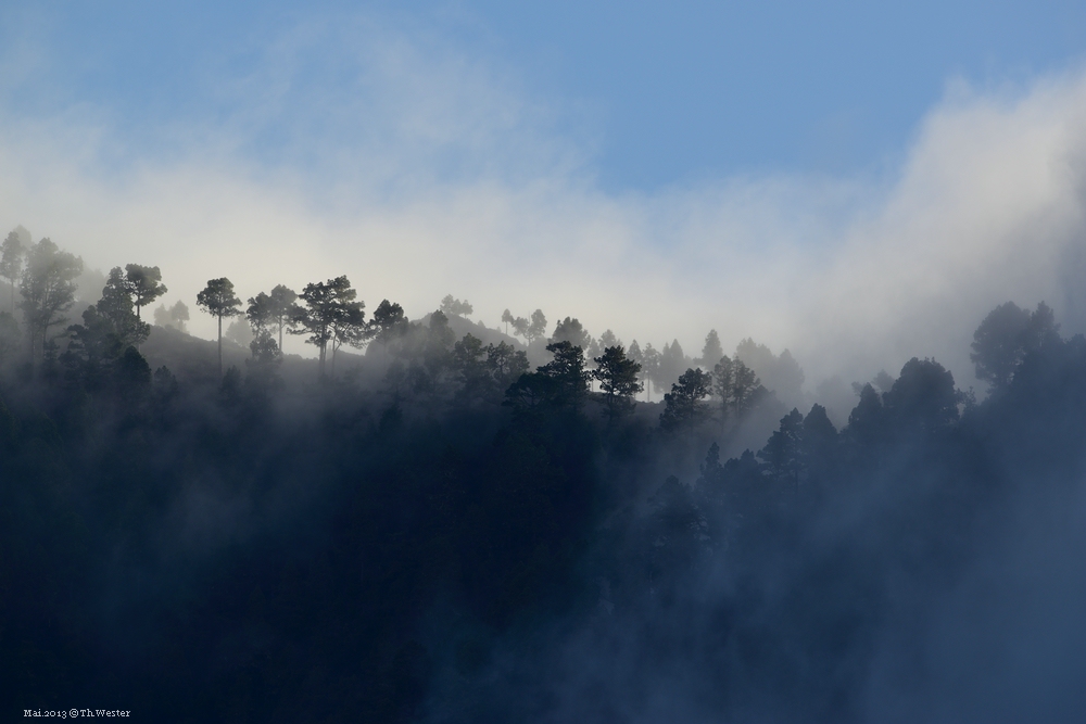 Lapalma (21)
