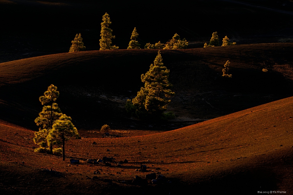 Lapalma (7)