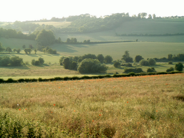 late summer